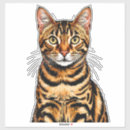 Suche nach gestreifte katze aufkleber Orange
