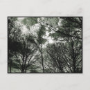 Suche nach baum postkarten Wolken