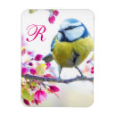 Suche nach birds und blooms Quelle
