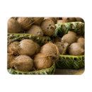 Suche nach tonga magnete Ozeanien