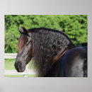 Suche nach friesian poster Friesisch