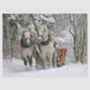 Suche nach pferdeschlittenfahrt Winter