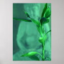 Suche nach buddhism poster Yoga