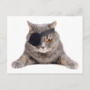 Suche nach verband postkarten Tier