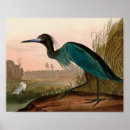 Suche nach crane poster Natur