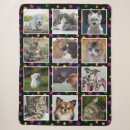 Suche nach bunte katzen decken Hund