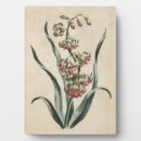 Suche nach botanisch fotoplatten Blume