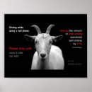 Suche nach simsen sie poster Text