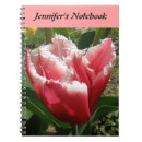 Suche nach franse Rosa