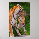 Suche nach weibliches tier poster Im freien