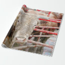 Suche nach rodeo geschenkpapier Land