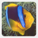Suche nach seeanemone aufkleber Unterwasser