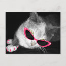 Suche nach cates einladungen Geburtstagsgeschenk