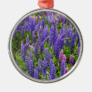 Suche nach lupinen ornamente Landschaft