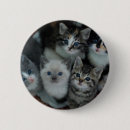 Suche nach tierthemen buttons Katze