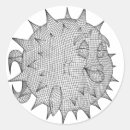 Suche nach unix aufkleber Bsd