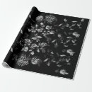 Suche nach dahlien alle geschenkpapier Blüte