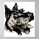 Suche nach scotty poster Hund