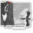 Suche nach großer vogel autoaufkleber Vogelbeobachtung