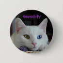 Suche nach ruhen buttons Katze