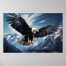 Suche nach bunter adler poster Natur