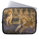 Suche nach baumstämme laptop schutzhüllen Panthera leo