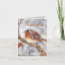 Suche nach nolen karten French christmas