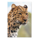 Suche nach fleischfresser poster Wildes tier