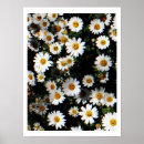 Suche nach emoticon poster Blume