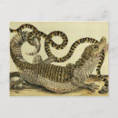 Suche nach maria sibylla merian poster Reptilien
