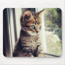 Suche nach aufpassen mousepads Katze