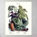 Suche nach obst poster Vintag