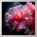 Suche nach hawaiisch poster Rosa