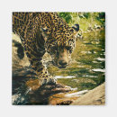 Suche nach leopard magnete Wildkatze