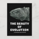 Suche nach evolution postkarten Darwin