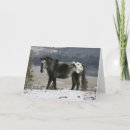 Suche nach schnee karten Reiter