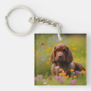Suche nach cocker spaniel schlüsselanhänger Tiere