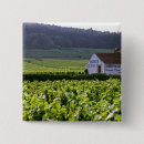 Suche nach weinrebe buttons Ackerland