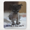 Suche nach lustige miezekatze mousepads Humorvoll