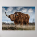 Suche nach stier kunst Himmel