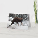 Suche nach küssen der katzen karten Tier