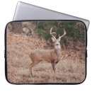 Suche nach hirsch laptop schutzhüllen Natur