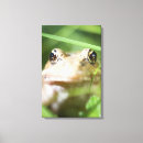 Suche nach tieraugen leinwandbilder Tag