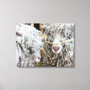 Suche nach ziege leinwandbilder Tiere