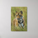 Suche nach tigerbecher Baby tiger