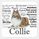 Suche nach rau aufkleber Collie