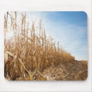 Suche nach teil von mousepads Tag