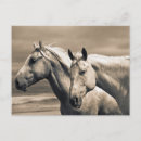 Suche nach quarter horse poster Bauernhof