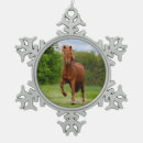 Suche nach lustiges pferd ornamente Niedlich