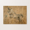 Suche nach erwachsener puzzle Farbbild